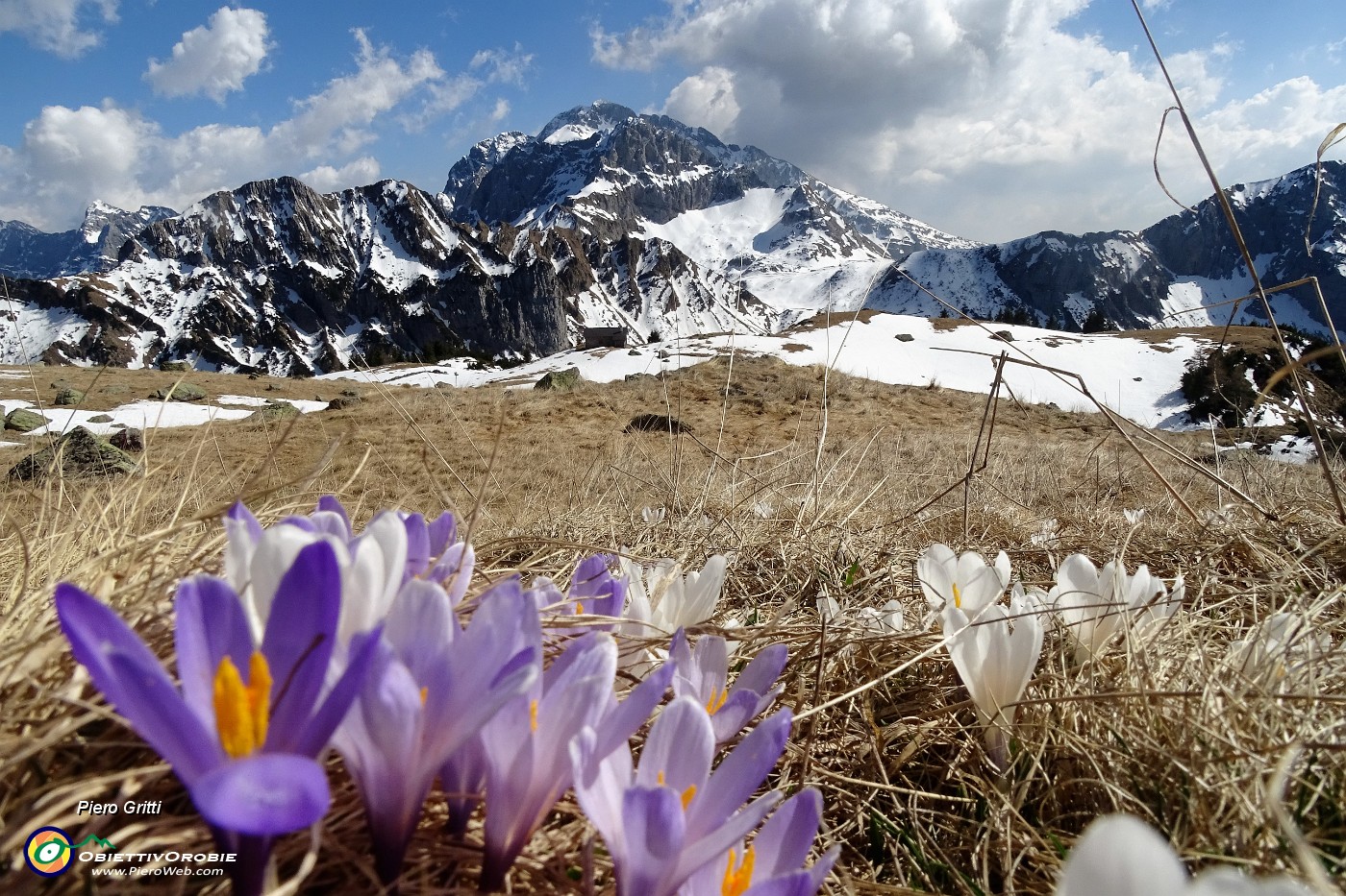 88 Pianoro di Monte Campo con vista in Arera.JPG
